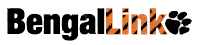 Career amp Professional Education - Bengallink Logo Hover